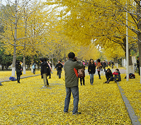 MK体育电脑版风采展示三